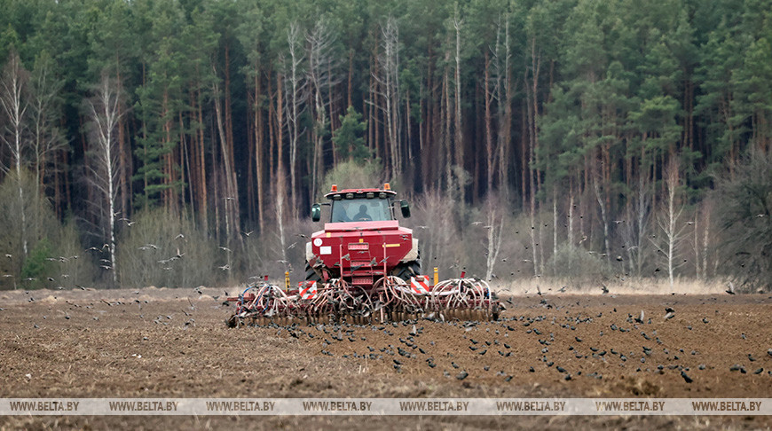 Лукашенко о погоде и ситуации в сельском хозяйстве после зимы