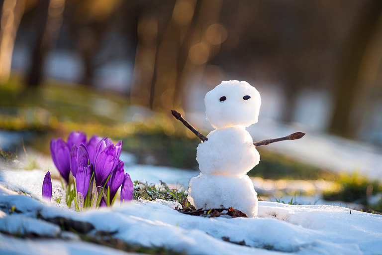 В выходные – до +13°С: скоро белорусы увидят весну не только на календаре