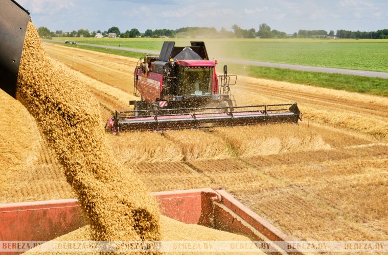 Лучшие механизаторы на весеннем севе 2026 на 16.04.2026