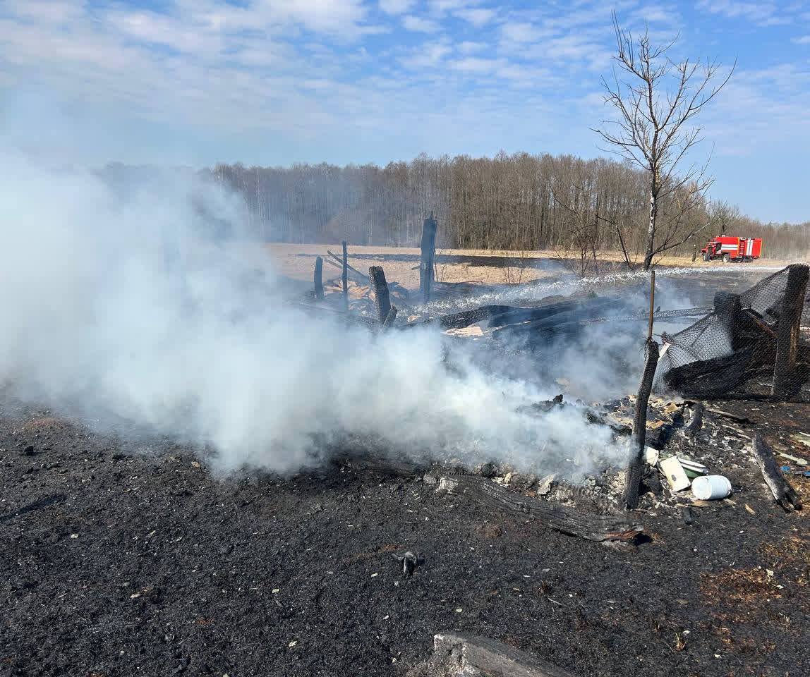 Бдительность жителя и оперативность МЧС предотвратили крупный пожар в Татарке