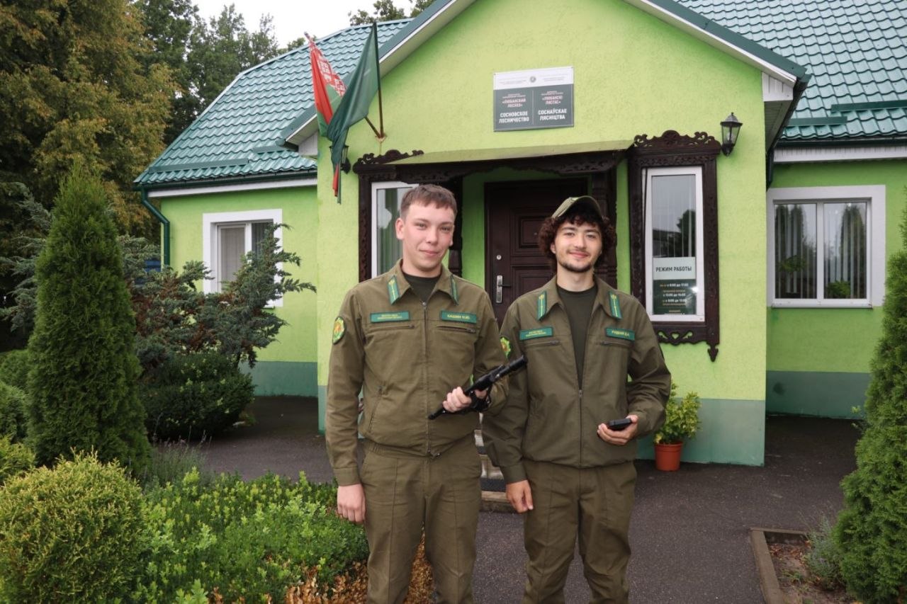 Как заповедное Постоловское лесничество превратилось в одно из самых больших на Любанщине
