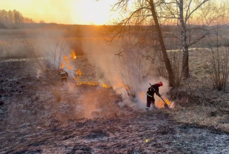 404 загорания в природных экосистемах с начала года на территории Минской области
