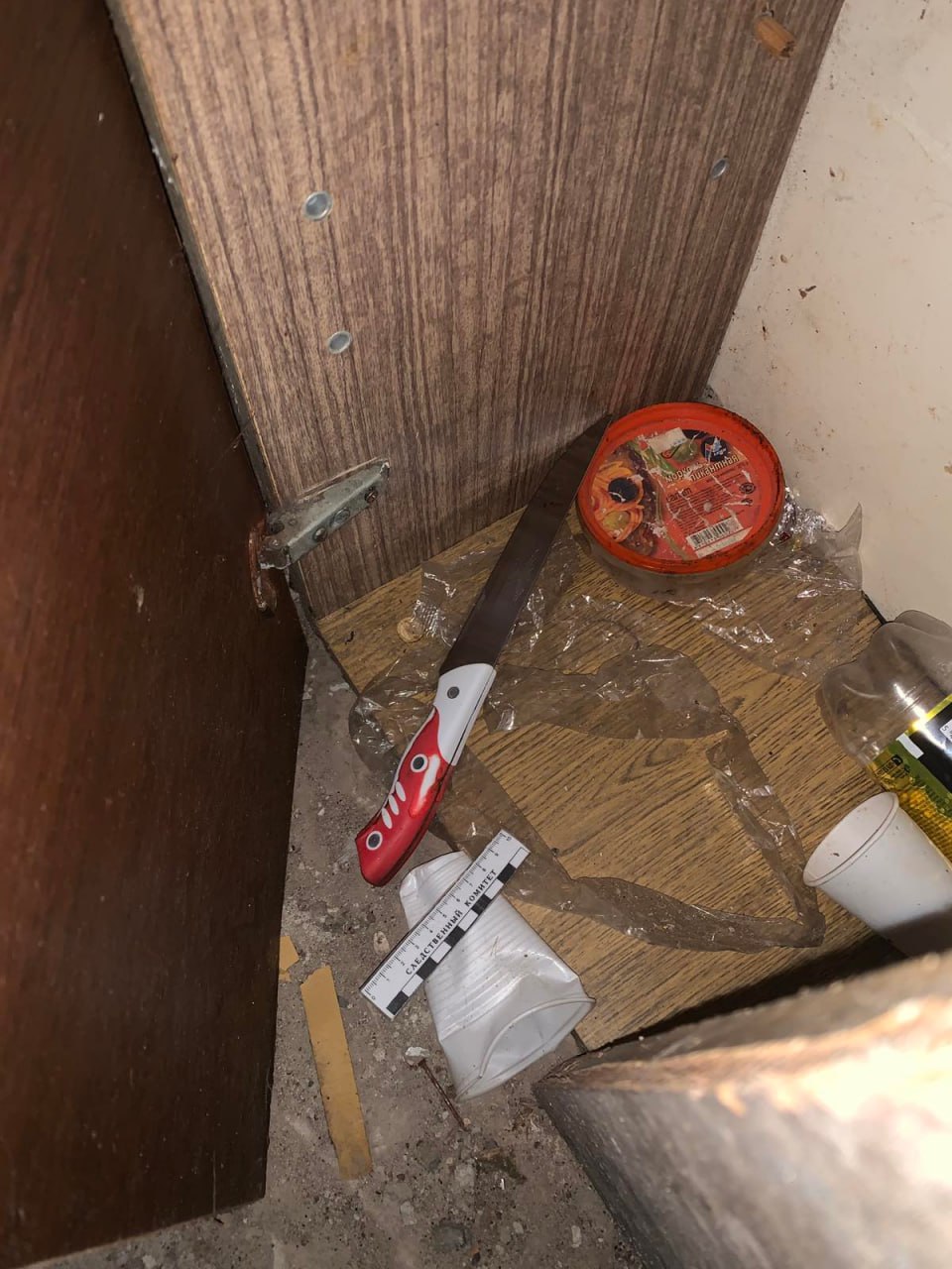 В Любанском районе пьяный ревнивец ударил ножом бывшую сожительницу 