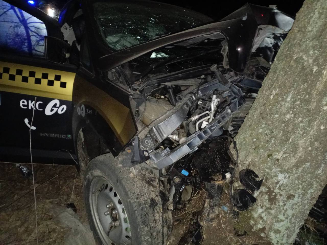 В ночь на 30 марта под Солигорском 26-летний водитель не справился с управлением и попал в ДТП с наездом на дерево