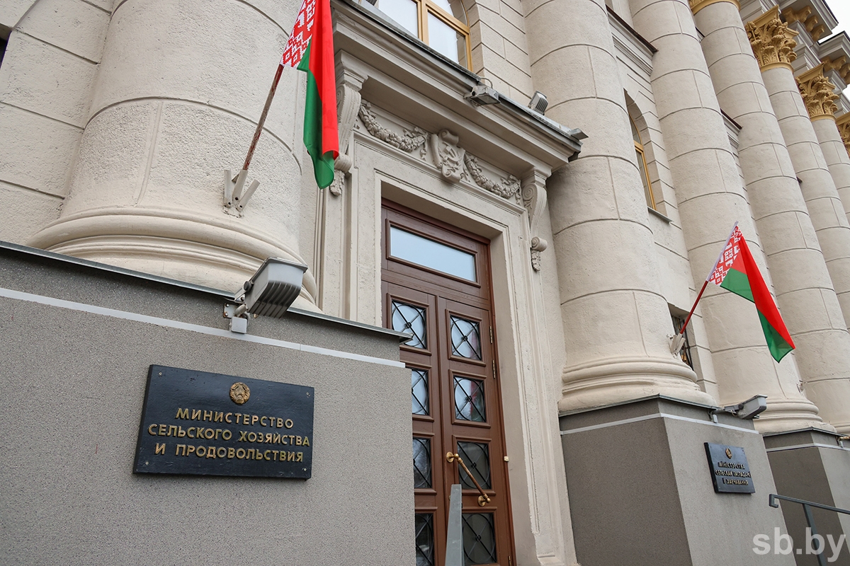 Когда в Беларуси должен завершиться сев озимых культур