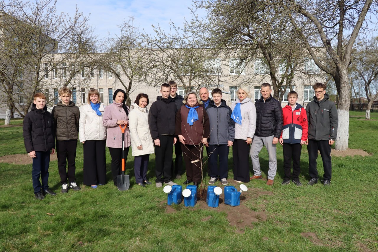 Яблоневая аллея заложена в Любани    