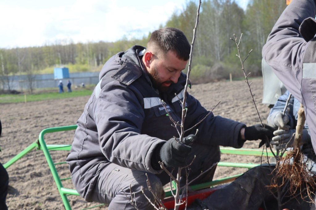 photo_2026-04-29_08-25-14 (3).jpg