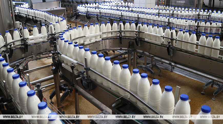 Помощь экспортерам: белорусским производителям продуктов упростили регистрацию для поставок в Китай