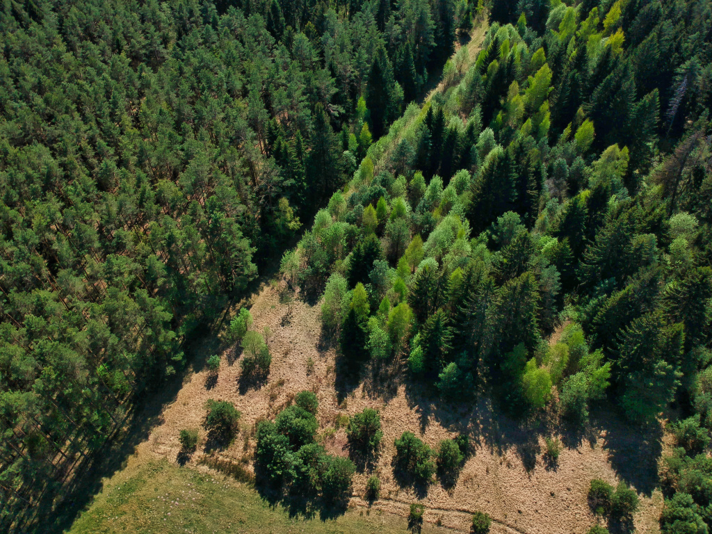 high-angle-shot-beautiful-green-landscape-with-trees-minsk-region-belarus.jpg high-angle-shot-beautiful-green-landscape-with-trees-minsk-region-belarus.jpg