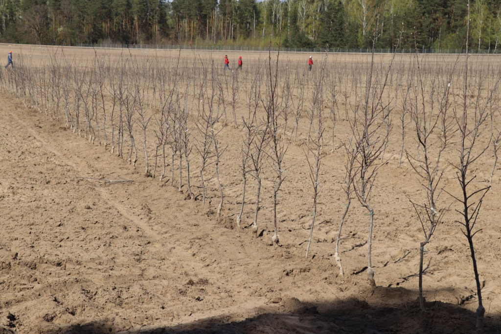 photo_2026-04-29_08-25-09 (2).jpg