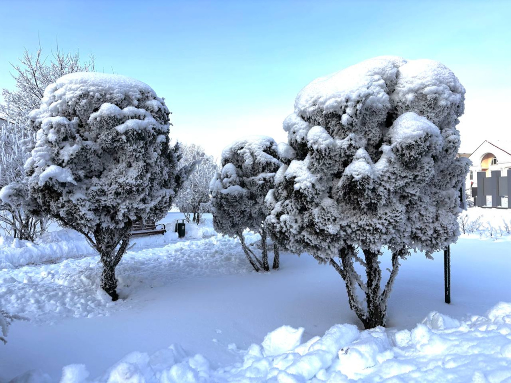 «Леони» уходит, давая дорогу морозам: прогноз погоды на ближайшие дни