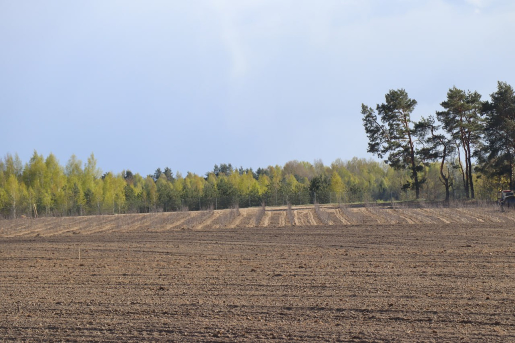 photo_2026-04-29_08-25-16 (2).jpg