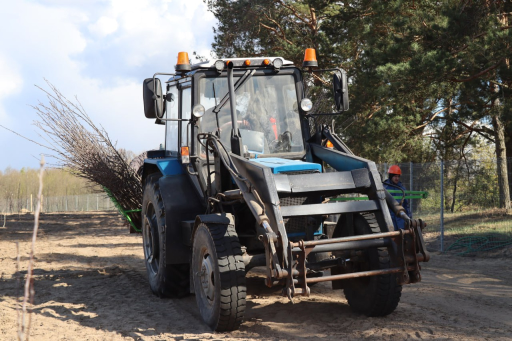 photo_2026-04-29_08-25-15 (2).jpg