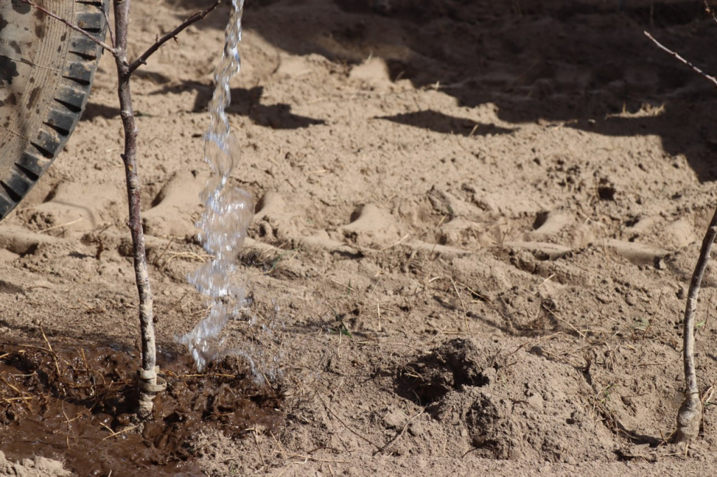 photo_2026-04-29_08-25-12 (2).jpg