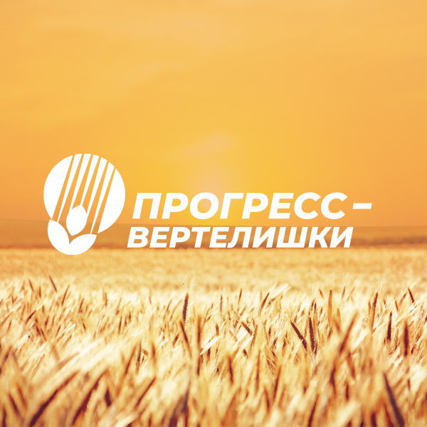 Формула настоящего хозяина: как СПК «Прогресс-Вертелишки» превращает землю в судьбу