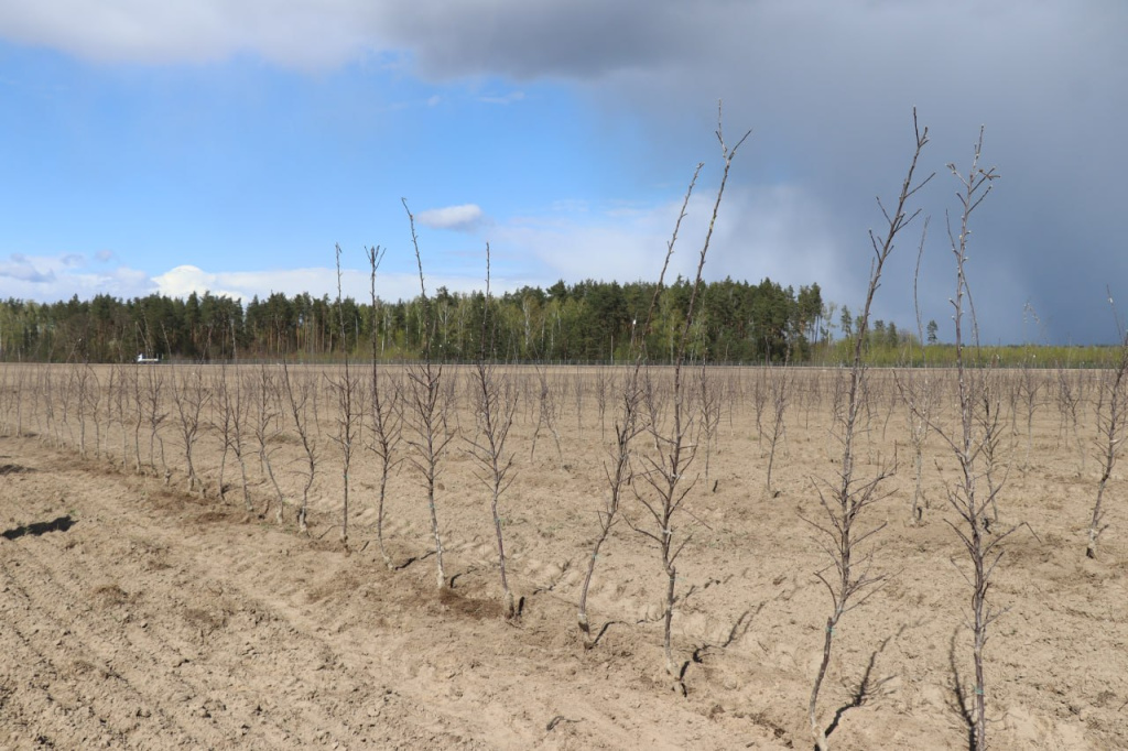 photo_2026-04-29_08-25-10 (7).jpg