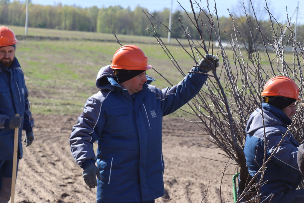 photo_2026-04-29_08-25-15 (3).jpg