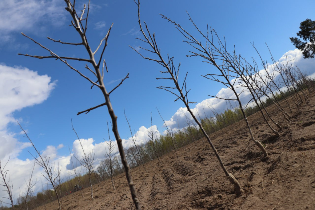 photo_2026-04-29_08-25-13 (2).jpg